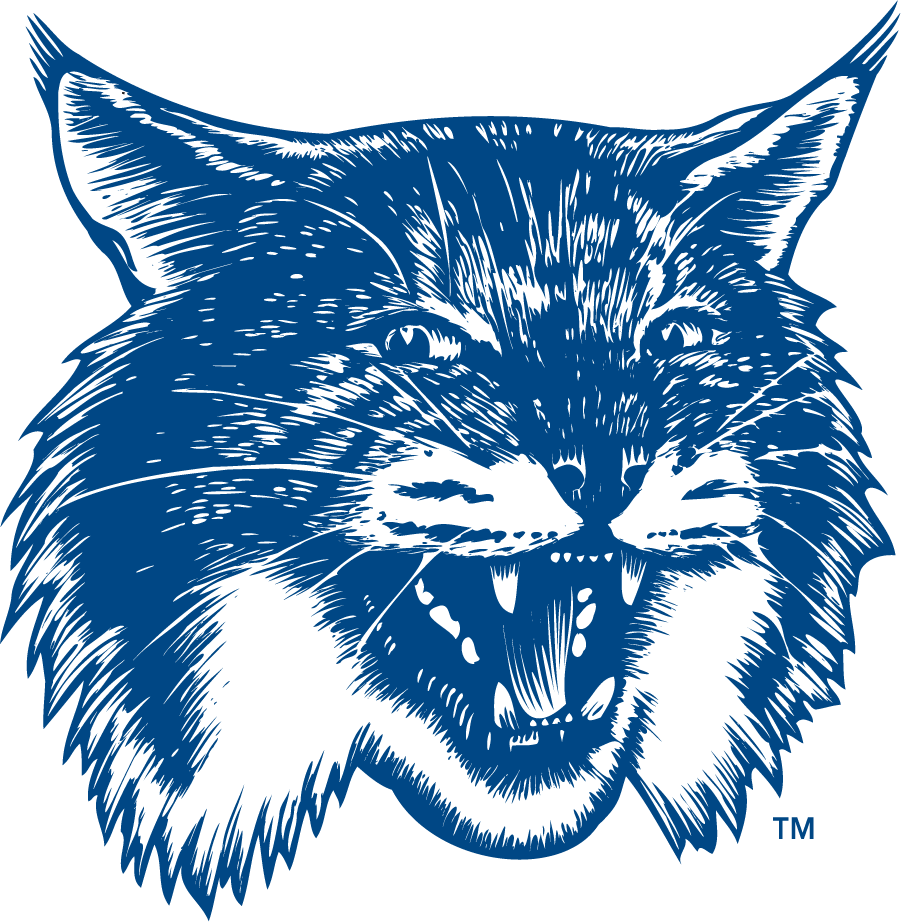 New Hampshire Wildcats 1993-2000 Secondary Logo v3 iron on transfers for clothing